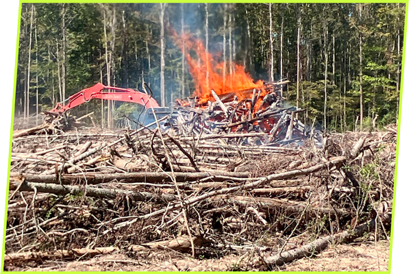Site Clearing Prep Work Nick Ruffin Excavating